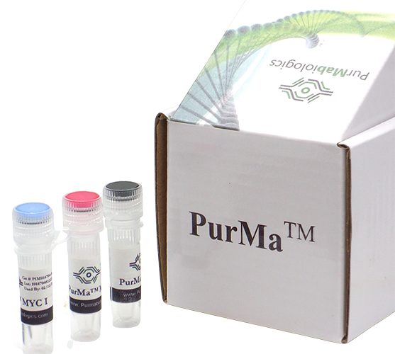 Mycoplasma Treatment Reagent (MTR) (100X)