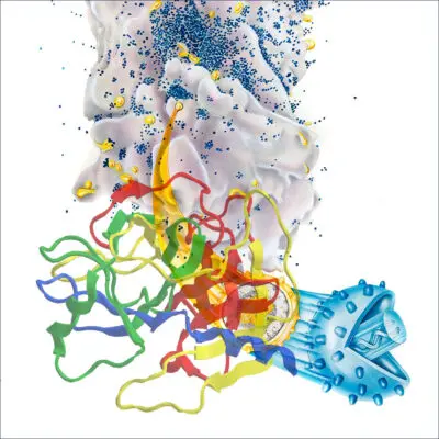 Cell Culture Suited