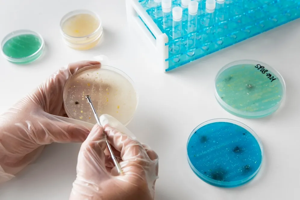 world-science-day